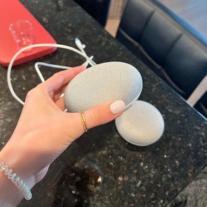 TWO Google Nest Minis